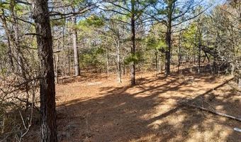 187602 N 4138 Rd, Antlers, OK 74523