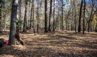 Lot 33 S Badger Lane, Arkdale, WI 54613