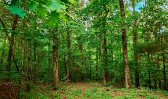 0 US-412 Hwy W, Beech Bluff, TN 38313