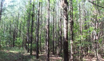 Highway 550 NW, Brookhaven, MS 39601