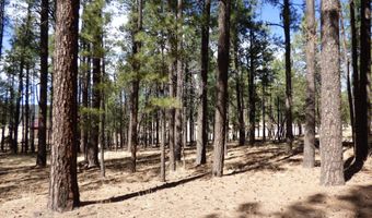 8 B County Road 2267 Escudilla Rd, Alpine, AZ 85920