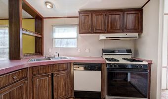497 Cherokee Trl, Ball Ground, GA 30107