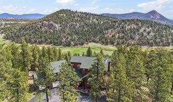 163 Old Corral Rd, Bailey, CO 80421