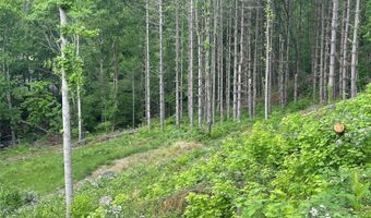 Pumpkin Patch Road, Bakersville, NC 28705