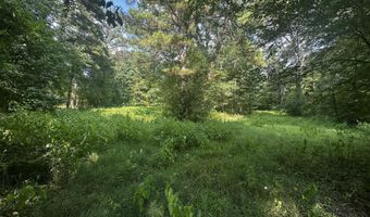 137 Shorter Rd, Braxton, MS 39044