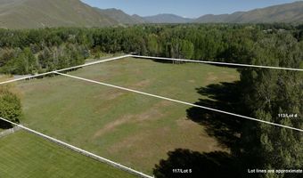 113 117 Lower Broadford Rd, Bellevue, ID 83313