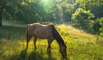 6152 County Road O-527, Ava, MO 65608