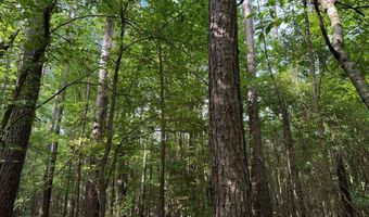 SW Auburn Drive, Bogue Chitto, MS 39629