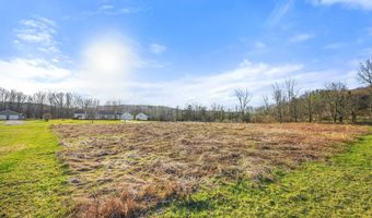 L43.3 Fairway Court, Afton, NY 13730