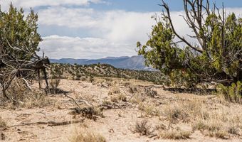 El Rito Estates, Abiquiu, NM 87510