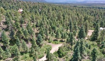 End of El Salto Road, Arroyo Seco, NM 87514