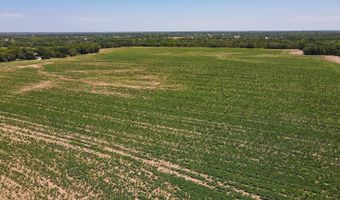 81 3+/- Acres SW Boyer Rd, Augusta, KS 67010
