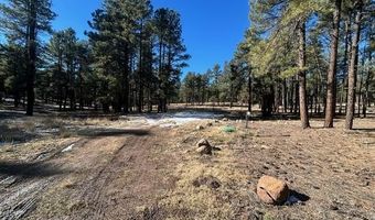 CR N2121, Alpine, AZ 85920