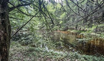 Pine Lodge Road, Batesville, MS 38606