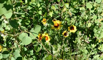 2025 Granite Rd, Bellvue, CO 80512