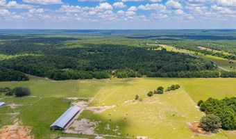 A-2 Long Branch Farm Road, Baker, FL 32531