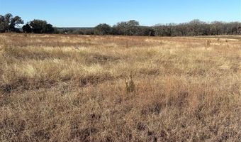 1190 N State HWY 220, Hico, TX 76457
