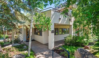 202 Aspen Airport Business Ctr, Aspen, CO 81611