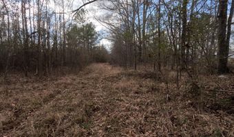 Saint John Road, Braxton, MS 39044