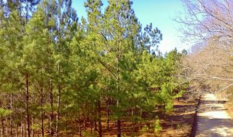 Loon Road, Barnwell, SC 29812