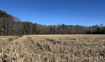 0 Bivalve Lodge Rd, Bivalve, MD 21814