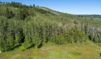 1833 W Buttermilk Rd, Aspen, CO 81611