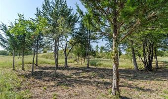 110 Pringle Ct, Alvord, TX 76225