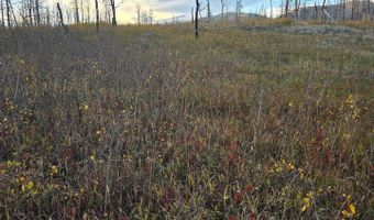 75 Sheep Horn Ct, Bellvue, CO 80512
