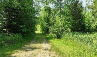 6002 Wildwood, Alger, MI 48610