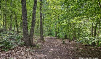 4383 Honey Creek Ave NE, Ada, MI 49301