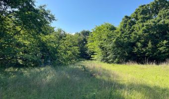 796 Blue Branch Rd, Bennington, OK 74723