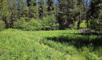 4585 E 1400 N, Ashton, ID 83420