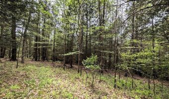 Stewart Road, Addison, NY 14801