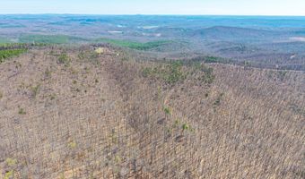 Larkin Mountain, Amherst, VA 24521