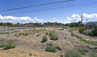 1401 Interest Ln, Gardnerville, NV 89410
