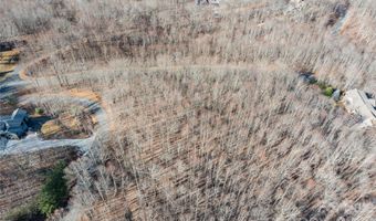1306 Double KNob Dr, Arden, NC 28704