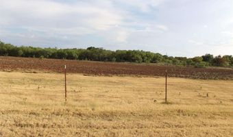 W CLINTON STREET, Archer City, TX 76351