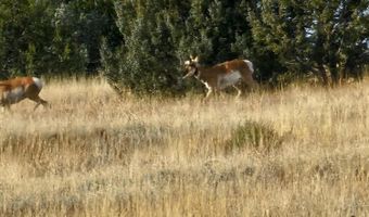 N Picacho Butte Drive, Ash Fork, AZ 86320