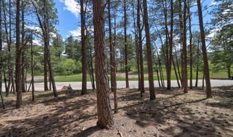 Lot 563 Lakeview Park Drive, Angel Fire, NM 87710