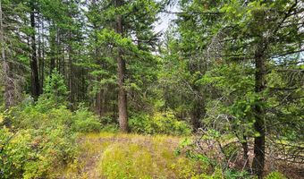 1754 Giles Connection Rd, Bonners Ferry, ID 83805