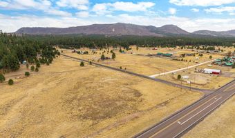 440 2104, Alpine, AZ 85920