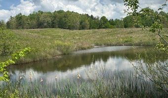 Sam Smith Rd, Allardt, TN 38504