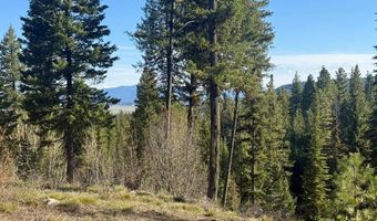 Urban Lane lot 5, Cascade, ID 83611
