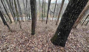 Lot 47 Seven Bark Drive, Cullman, AL 35055