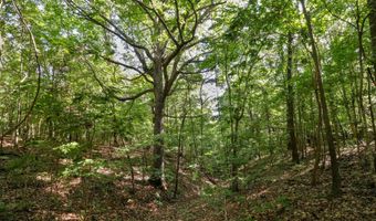 Private Drive Off Of Fr 1245, Aurora, MO 65605