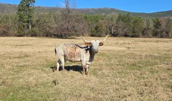 10 TBD Bates Arkansas, Bates, AR 72958