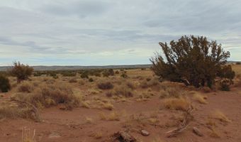 42 N5576, Concho, AZ 85924