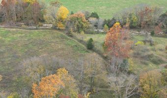 000 Tbd County Rd T-541, Ava, MO 65608