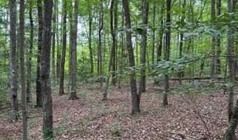 9891 Baskerville Rd, Baskerville, VA 23915