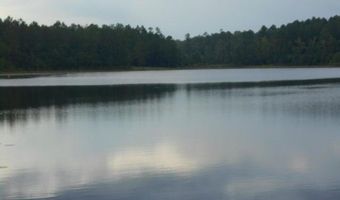 574 Mcduff Dr, Alford, FL 32420